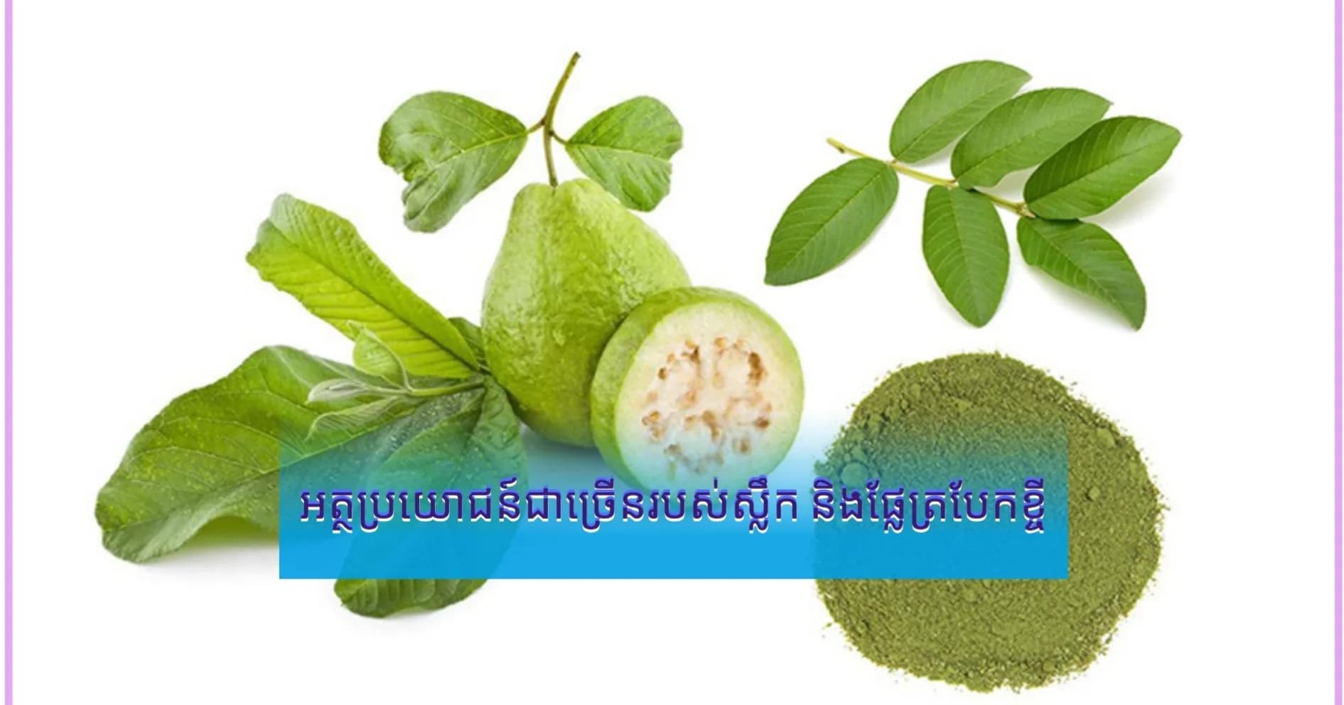 អត្ថប្រយោជន៍ជាច្រើនរបស់ស្លឹក និងផ្លែត្របែកខ្ចី