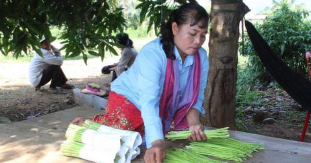 ទំពាំងបារាំង មិនត្រឹមតែផ្តល់ប្រយោជន៍ច្រើនដល់សុខភាព ប៉ុន្តែក៏ផ្តល់ប្រាក់ចំណូលគួរសមដល់កសិករ