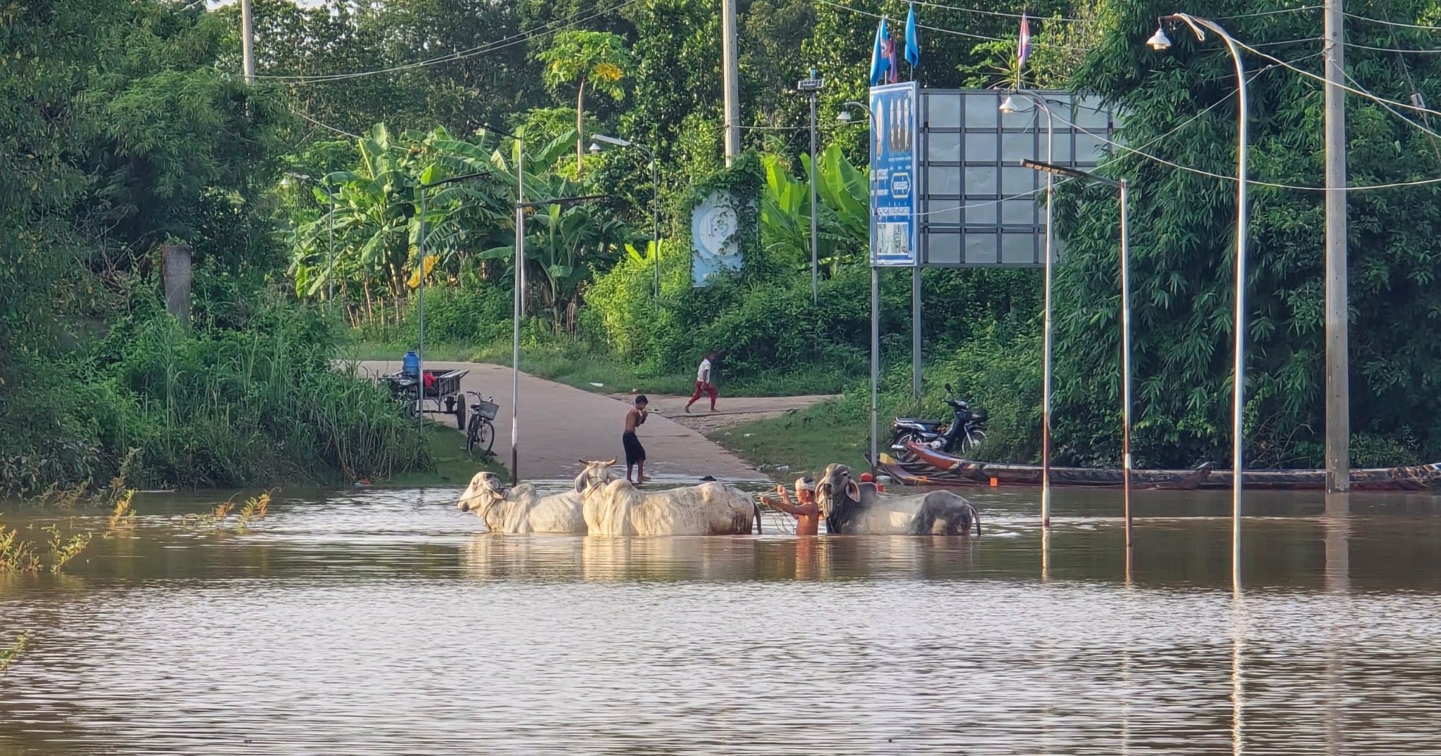 ទឹកទន្លេមេគង្គខេត្តកំពង់ចាម មានកម្ពស់ ១៣,២២ ម៉ែត្រ កើនឡើង ០,២៤ម៉ែត្រ ធៀបនឹងថ្ងៃម្សិលមិញ ខណៈស្រុក-ក្រុងចំនួន៧ មានភ្លៀងធ្លាក់